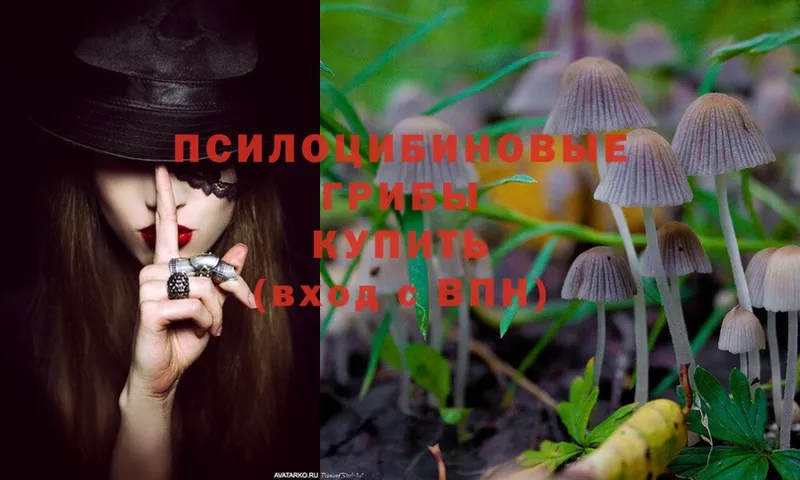 Галлюциногенные грибы MAGIC MUSHROOMS  Братск 